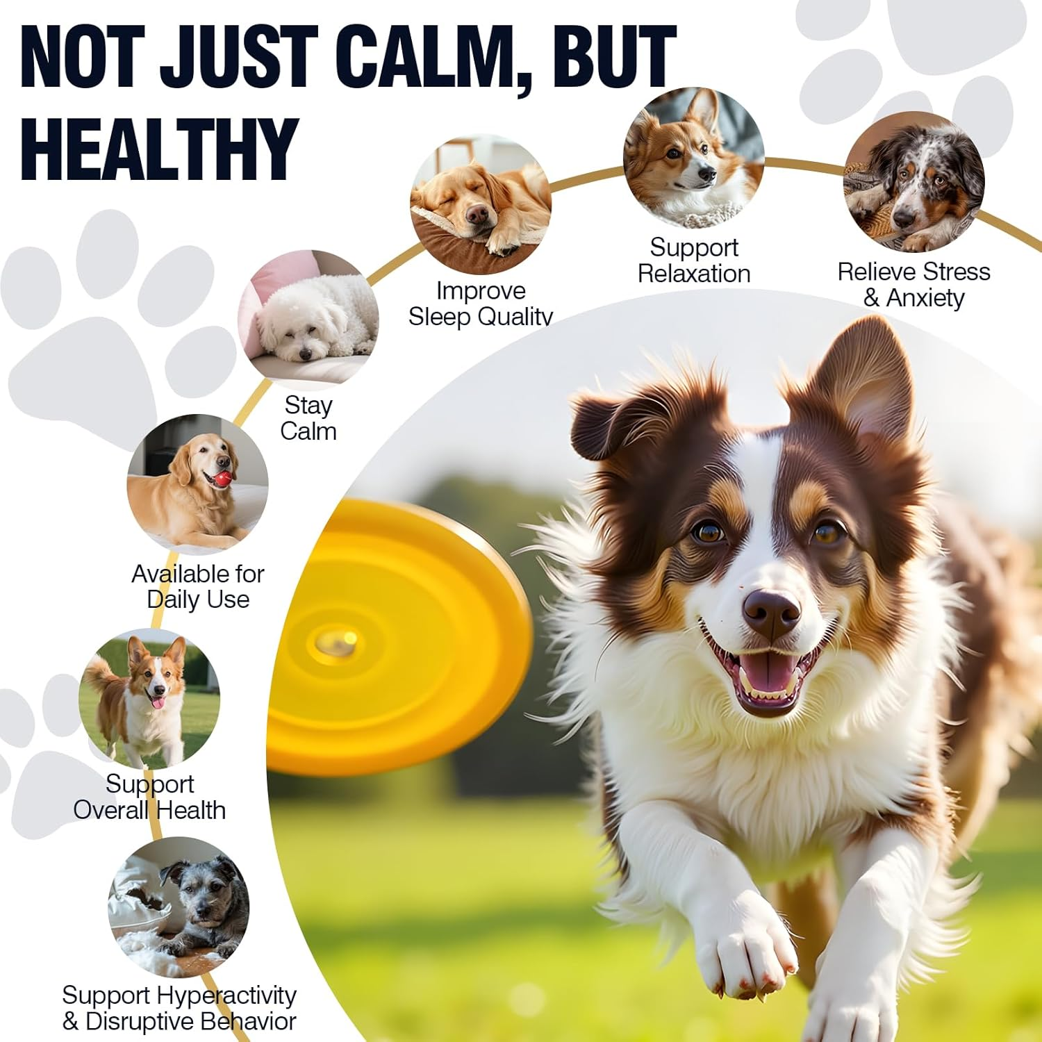 Dog Calming Chews benefits panel showing calm, sleep quality, stress relief, daily use, overall health, and hyperactivity support